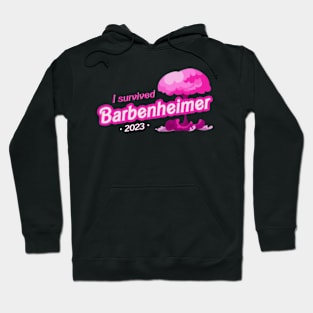 Barbenheimer, Pink Hoodie